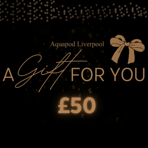 A perfect introduction to exquisite seafood dining